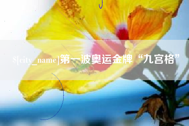 滑县第一波奥运金牌“九宫格”