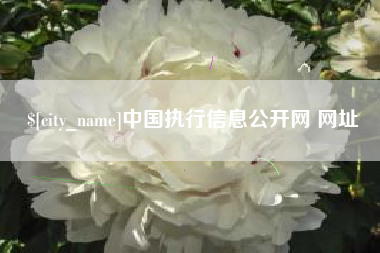 滑县中国执行信息公开网 网址