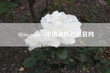 滑县中国消防产品官网