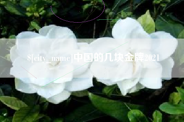 滑县中国的几块金牌2021