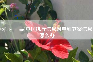 滑县中国执行信息网查到立案信息怎么办