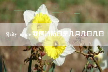 滑县我国消防日是几月几日几日
