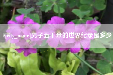 滑县男子五千米的世界纪录是多少