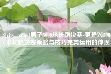滑县男子5000米长跑决赛-更是对5000米长跑决赛策略与技巧完美运用的体现