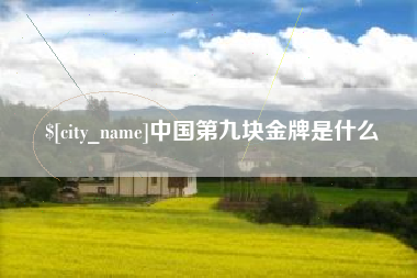 滑县中国第九块金牌是什么