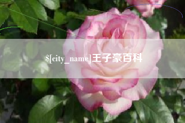 滑县王子豪百科