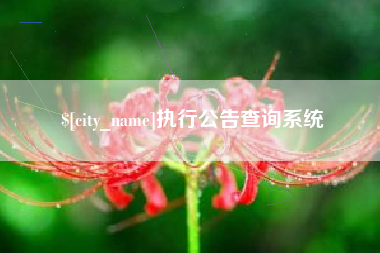 滑县执行公告查询系统
