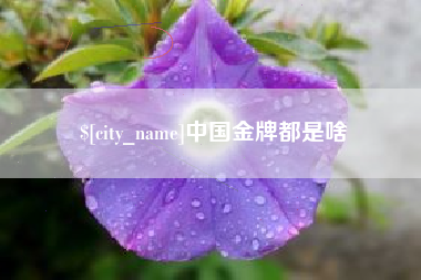 滑县中国金牌都是啥
