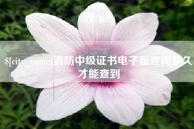 滑县消防中级证书电子版查询多久才能查到