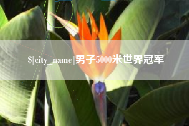 滑县男子5000米世界冠军
