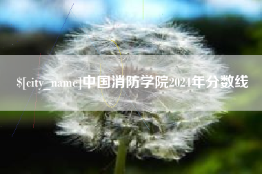 滑县中国消防学院2024年分数线