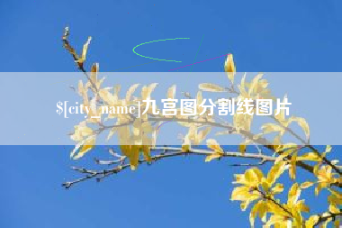 滑县九宫图分割线图片