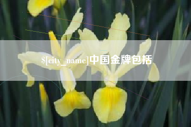 滑县中国金牌包括