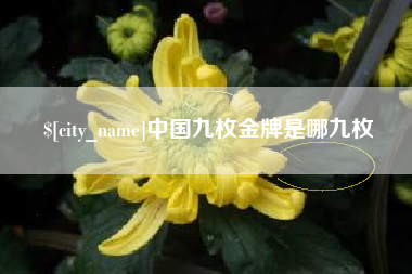 滑县中国九枚金牌是哪九枚