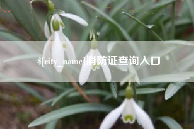 滑县消防证查询入口