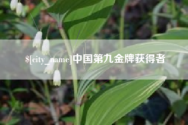 滑县中国第九金牌获得者
