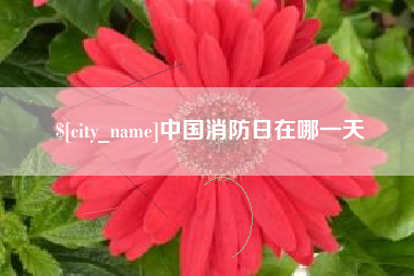 滑县中国消防日在哪一天