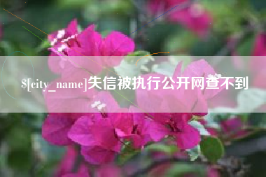 滑县失信被执行公开网查不到