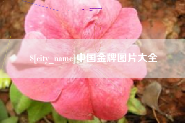 滑县中国金牌图片大全