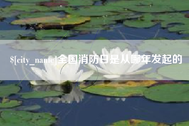 滑县全国消防日是从哪年发起的