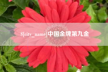 滑县中国金牌第九金