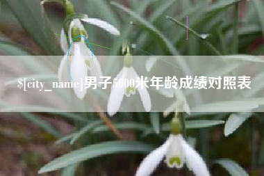 滑县男子5000米年龄成绩对照表