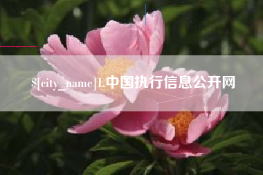 滑县1.中国执行信息公开网