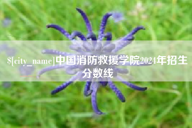 滑县中国消防救援学院2024年招生分数线