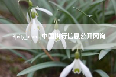 滑县中国执行信息公开网询