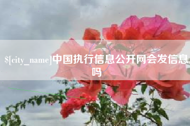 滑县中国执行信息公开网会发信息吗