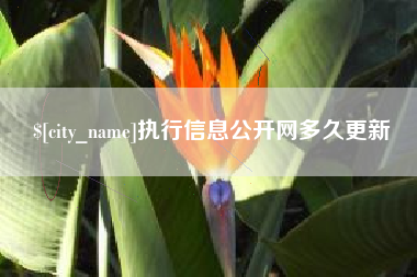 滑县执行信息公开网多久更新