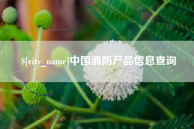 滑县中国消防产品信息查询