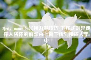 滑县60米接力赛技巧-下压式则是传棒人将棒的前部由上向下传到接棒人手中