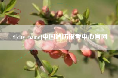 滑县中国消防报考中心官网