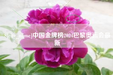 滑县中国金牌榜2024巴黎奥运会最新
