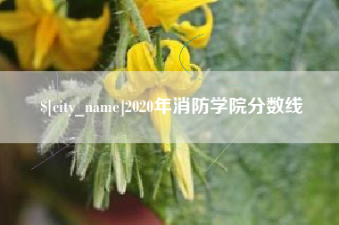 滑县2020年消防学院分数线