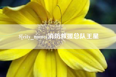 滑县消防救援总队王星