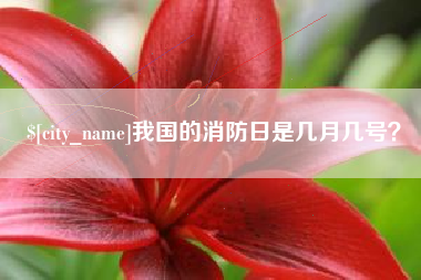 滑县我国的消防日是几月几号？