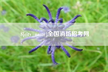 滑县全国消防招考网