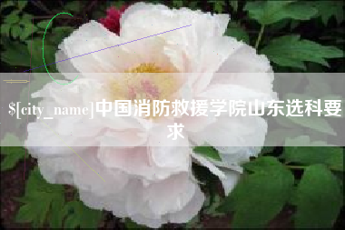 滑县中国消防救援学院山东选科要求