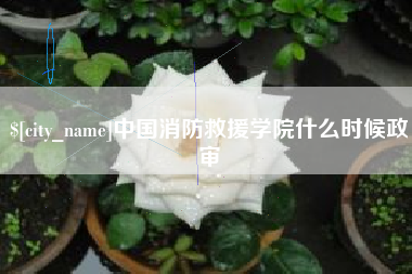滑县中国消防救援学院什么时候政审