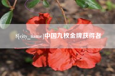 滑县中国九枚金牌获得者