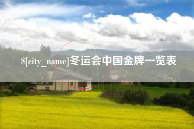 滑县冬运会中国金牌一览表