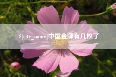滑县中国金牌有几枚了