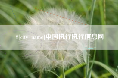 滑县中国执行执行信息网