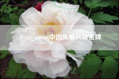 滑县中国队第八块金牌