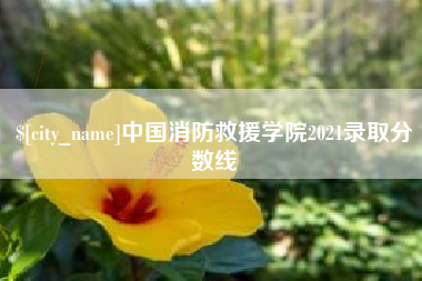 滑县中国消防救援学院2021录取分数线