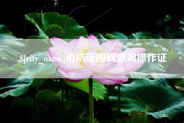 滑县消防证国网查询操作证