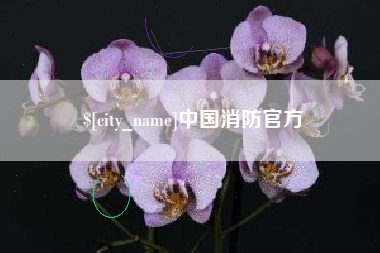 滑县中国消防官方