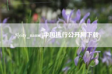 滑县中国执行公开网下载